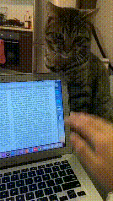 daily gifdump 52 gifs 1.html - 1 HD GIF | Premium Gallery 2026