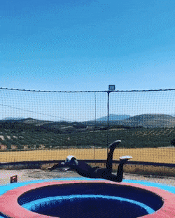 daily gifdump 52 gifs 1.html - 1 HD GIF | Premium Gallery 2026