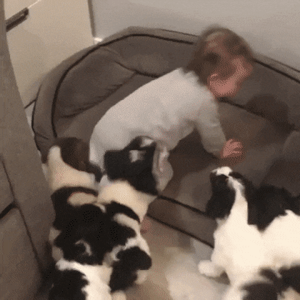 daily gifdump 52 gifs 1.html - 1 HD GIF | Premium Gallery 2026