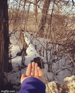 daily gifdump 52 gifs 1.html - 1 HD GIF | Premium Gallery 2026