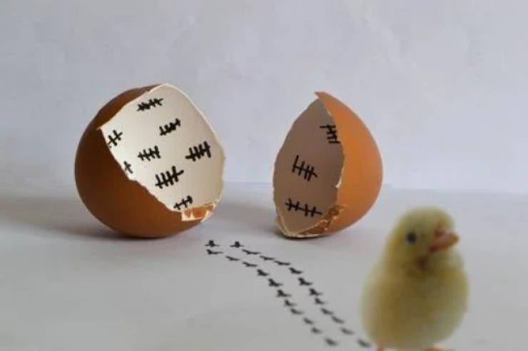 Absolutely Unexplainable Photos