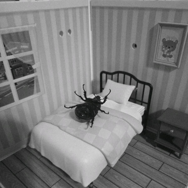 Absolutely Unexplainable Photos