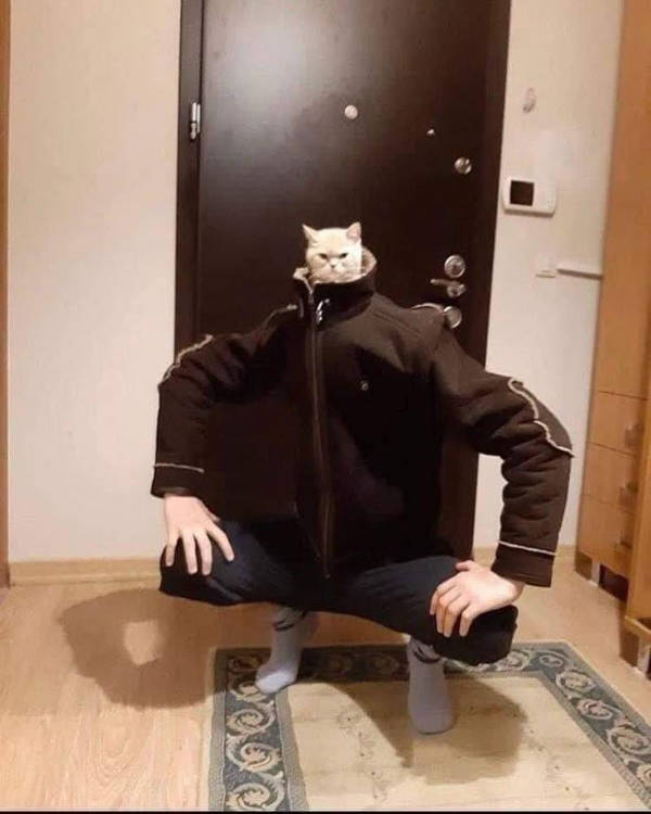 Absolutely Unexplainable Photos