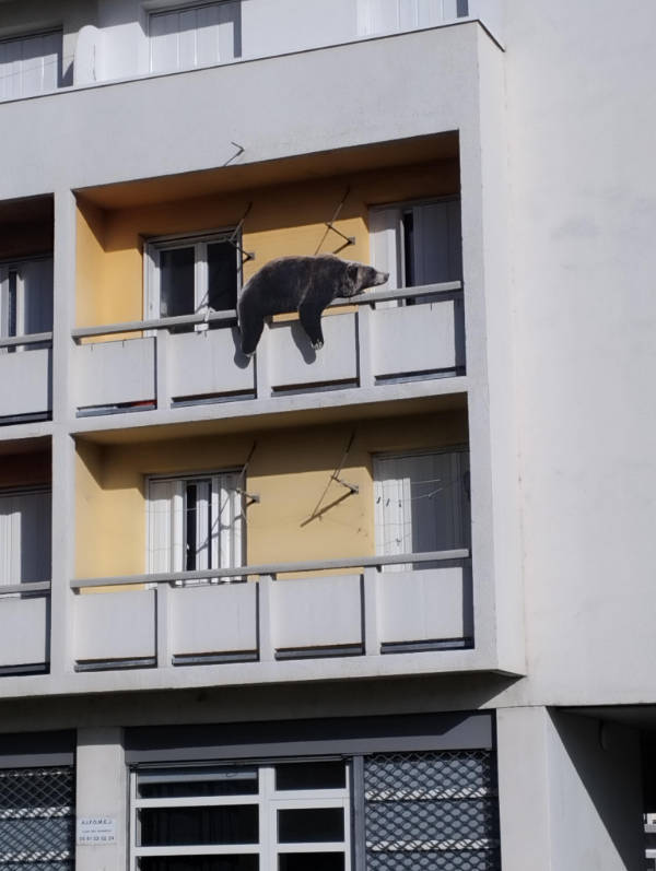 Absolutely Unexplainable Photos