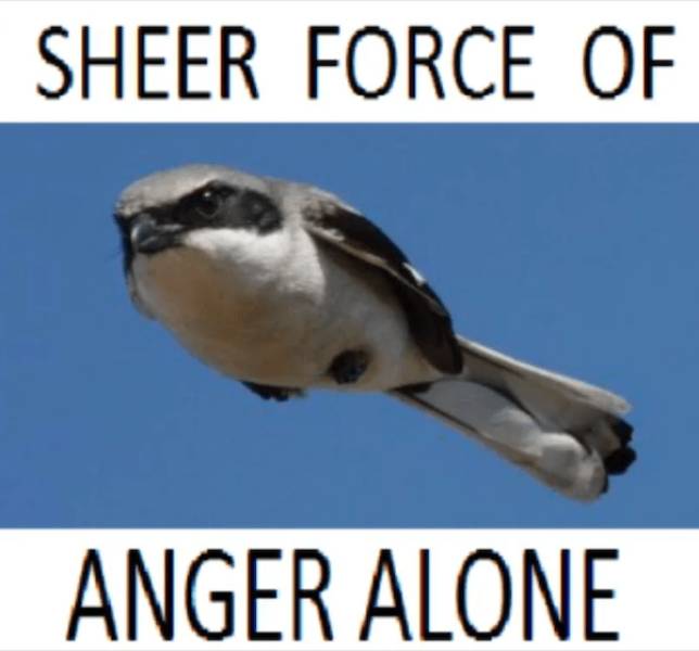 daily picdump 33 pics 5.html - 33 HD Photos | Premium Gallery 2026