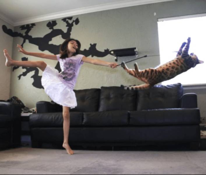 daily picdump 33 pics 5.html - 33 HD Photos | Premium Gallery 2026