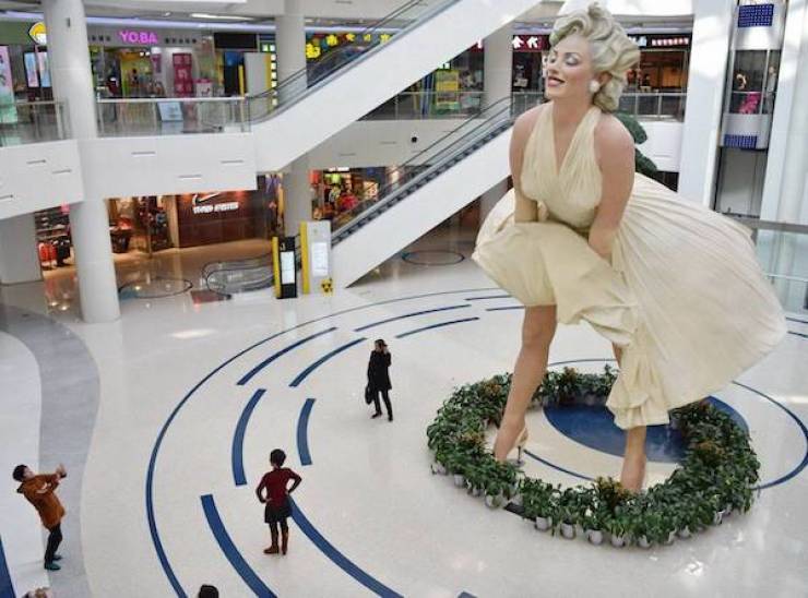 daily picdump 33 pics 5.html - 33 HD Photos | Premium Gallery 2026