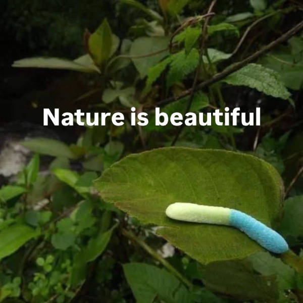 Damn, That’s Beautiful