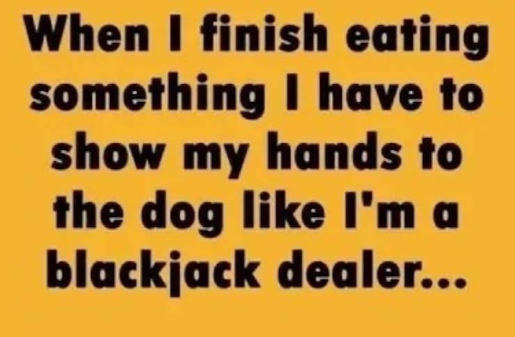 extra cheesy memes loaded with bacon 38 pics 13.html - 38 HD Photos | Premium Gallery 2026