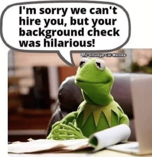 extra cheesy memes loaded with bacon 38 pics 13.html - 38 HD Photos | Premium Gallery 2026