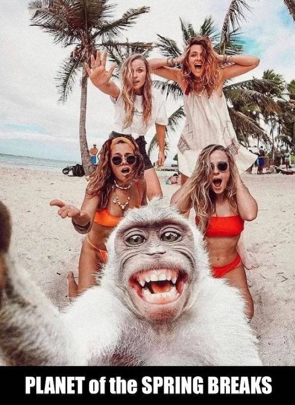 extra cheesy memes loaded with bacon 38 pics 13.html - 38 HD Photos | Premium Gallery 2026