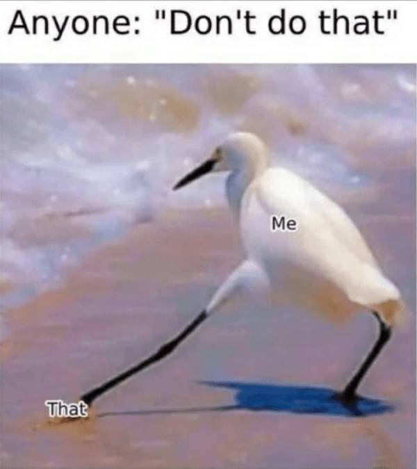 extra cheesy memes loaded with bacon 38 pics 13.html - 38 HD Photos | Premium Gallery 2026