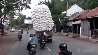 daily gifdump 47 gifs 6.html - 1 HD GIF | Premium Gallery 2026