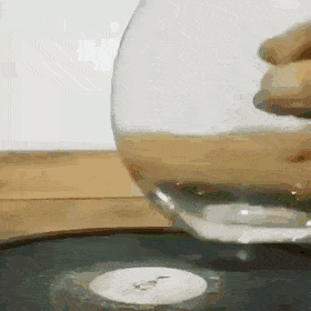 daily gifdump 47 gifs 6.html - 1 HD GIF | Premium Gallery 2026