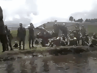 daily gifdump 47 gifs 6.html - 1 HD GIF | Premium Gallery 2026