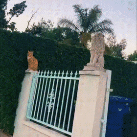 daily gifdump 47 gifs 6.html - 1 HD GIF | Premium Gallery 2026