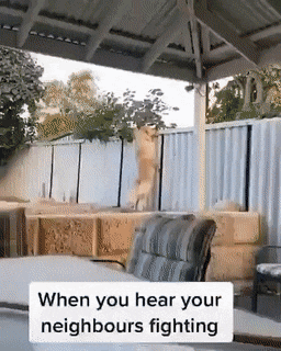 daily gifdump 47 gifs 6.html - 1 HD GIF | Premium Gallery 2026