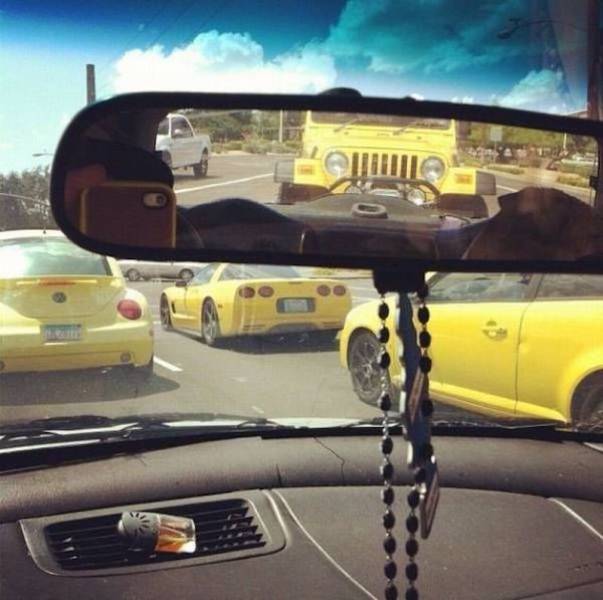 daily picdump 47 pics 21.html - 47 HD Photos | Premium Gallery 2026