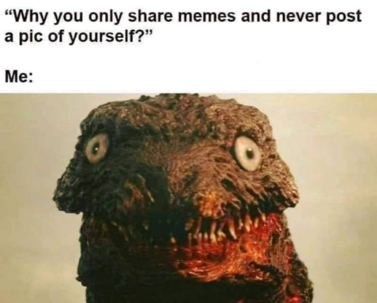 Pure Internet Energy in Meme Form