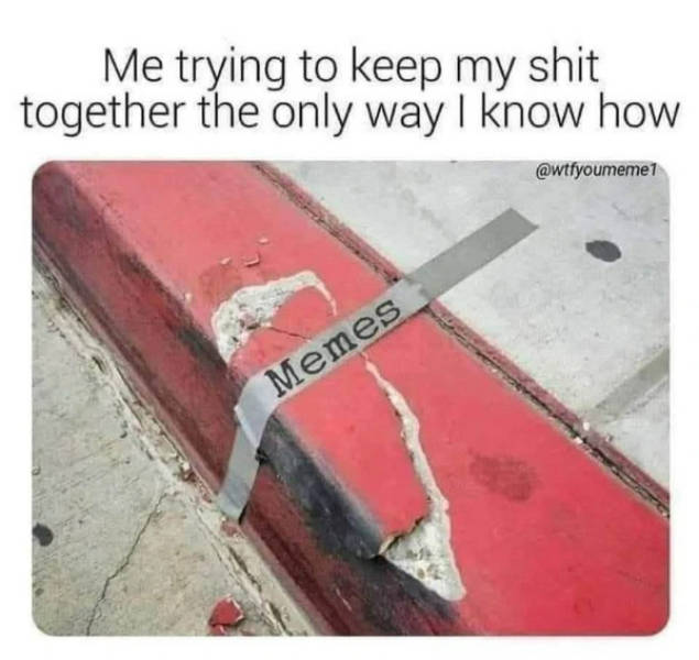 pure internet energy in meme form 30 pics 14.html - 30 HD Photos | Premium Gallery 2026