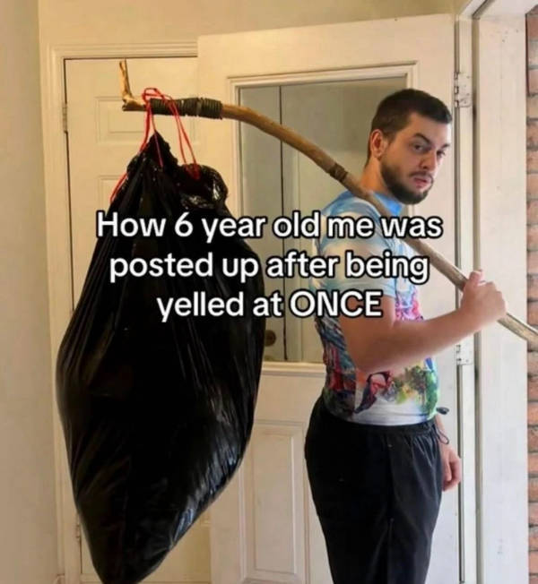 pure internet energy in meme form 30 pics 14.html - 30 HD Photos | Premium Gallery 2026