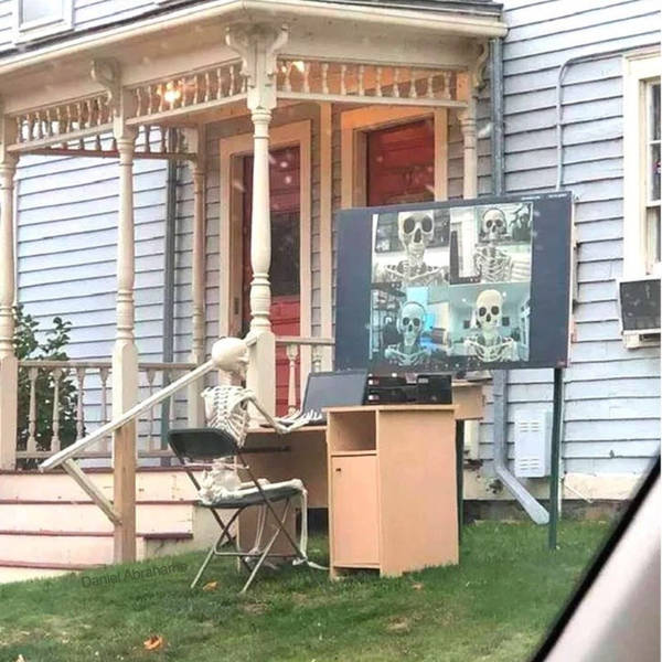 so dank it should be illegal 39 pics 14.html - 39 HD Photos | Premium Gallery 2026