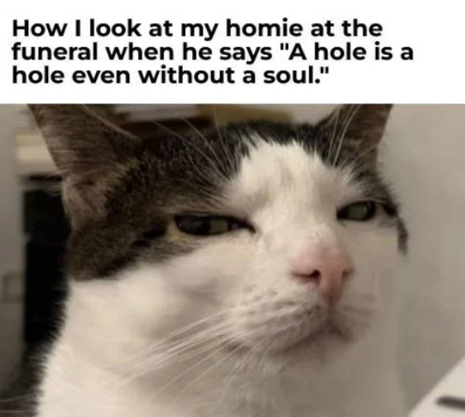 so dank it should be illegal 39 pics 14.html - 39 HD Photos | Premium Gallery 2026