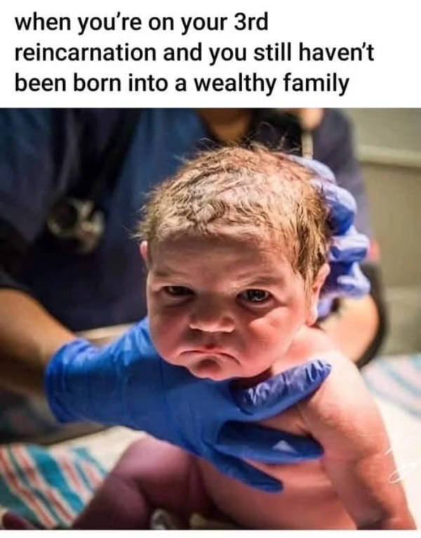 so dank it should be illegal 39 pics 14.html - 39 HD Photos | Premium Gallery 2026