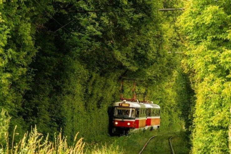 Uniquely Beautiful Moments Caught on Camera