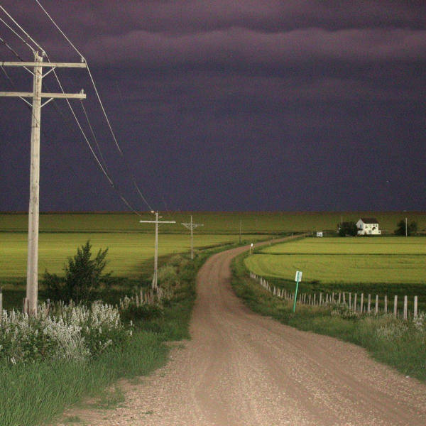 Uniquely Beautiful Moments Caught on Camera