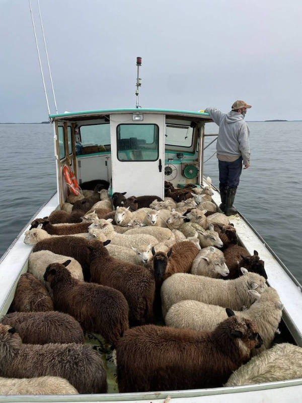 Uniquely Beautiful Moments Caught on Camera