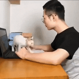 daily gifdump 54 gifs 3.html - 1 HD GIF | Premium Gallery 2026