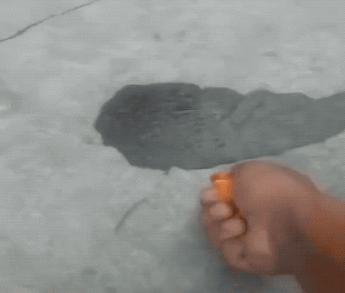 daily gifdump 54 gifs 3.html - 1 HD GIF | Premium Gallery 2026