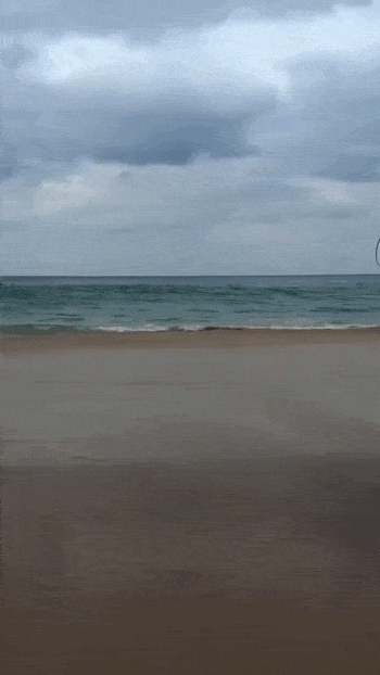 daily gifdump 54 gifs 3.html - 1 HD GIF | Premium Gallery 2026