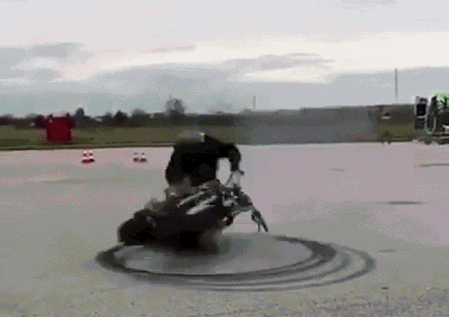 daily gifdump 54 gifs 3.html - 1 HD GIF | Premium Gallery 2026