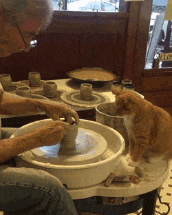 daily gifdump 54 gifs 3.html - 1 HD GIF | Premium Gallery 2026