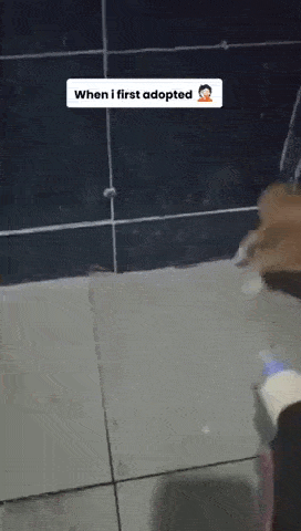 daily gifdump 54 gifs 3.html - 1 HD GIF | Premium Gallery 2026