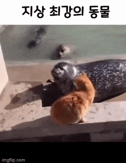 daily gifdump 54 gifs 3.html - 1 HD GIF | Premium Gallery 2026