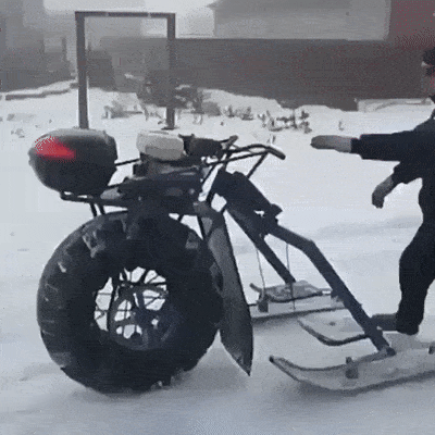 daily gifdump 54 gifs 3.html - 1 HD GIF | Premium Gallery 2026