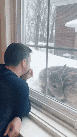 daily gifdump 54 gifs 3.html - 1 HD GIF | Premium Gallery 2026