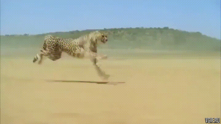 daily gifdump 54 gifs 3.html - 1 HD GIF | Premium Gallery 2026