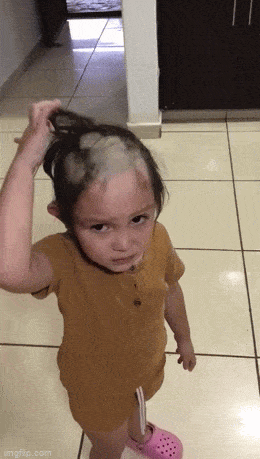 daily gifdump 54 gifs 3.html - 1 HD GIF | Premium Gallery 2026