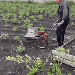 daily gifdump 54 gifs 3.html - 1 HD GIF | Premium Gallery 2026