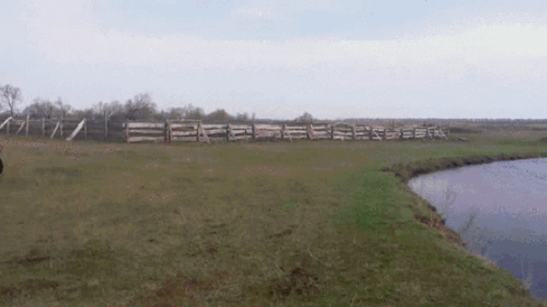 daily gifdump 54 gifs 3.html - 1 HD GIF | Premium Gallery 2026