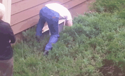 daily gifdump 54 gifs 3.html - 1 HD GIF | Premium Gallery 2026