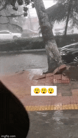 daily gifdump 54 gifs 3.html - 1 HD GIF | Premium Gallery 2026