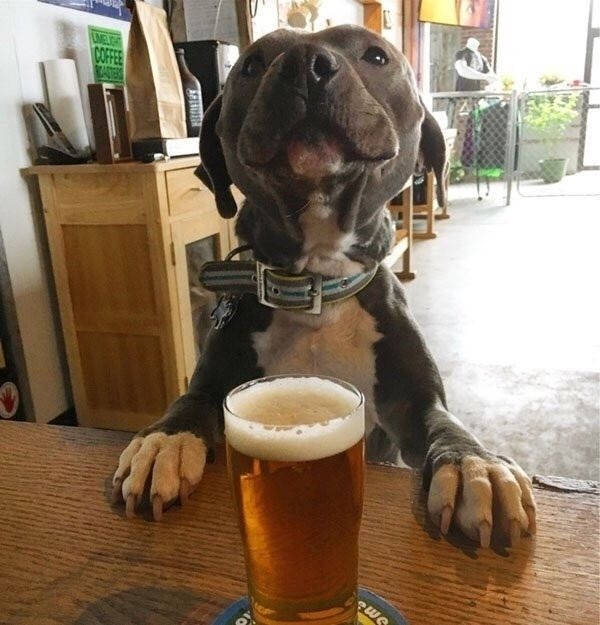 cheers everyone 38 pics 5.html - 38 HD Photos | Premium Gallery 2026