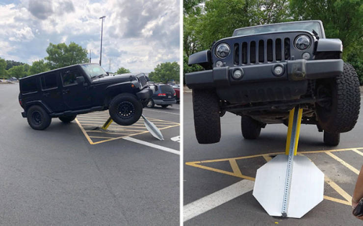 Drivers Who Clearly Skipped the Thinking Part