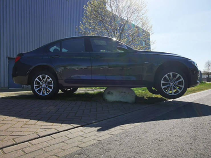 Drivers Who Clearly Skipped the Thinking Part