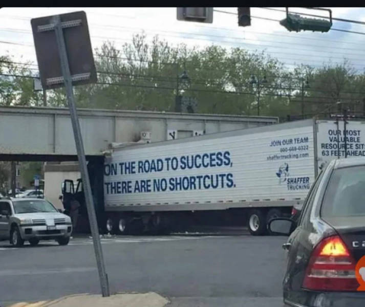 Drivers Who Clearly Skipped the Thinking Part